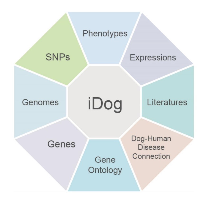 亚星游戏·yaxin222(中国官网)_亚星注册登录