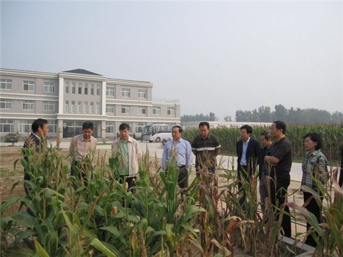 亚星游戏·yaxin222(中国官网)_亚星注册登录