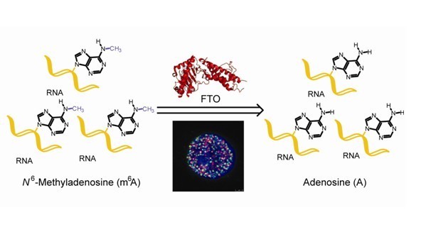 亚星游戏·yaxin222(中国官网)_亚星注册登录