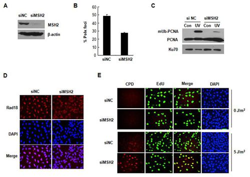 亚星游戏·yaxin222(中国官网)_亚星注册登录