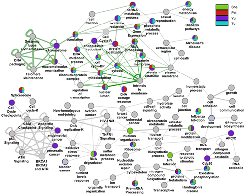 亚星游戏·yaxin222(中国官网)_亚星注册登录