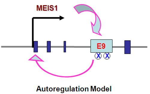 亚星游戏·yaxin222(中国官网)_亚星注册登录