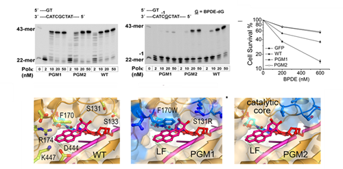 亚星游戏·yaxin222(中国官网)_亚星注册登录