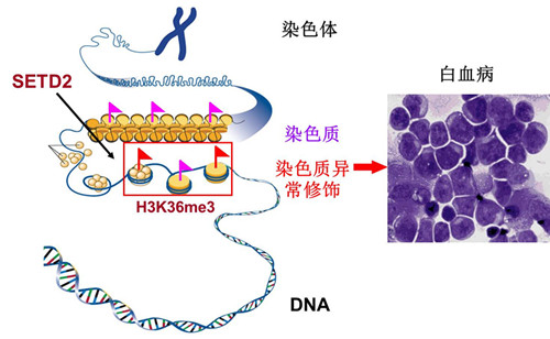 亚星游戏·yaxin222(中国官网)_亚星注册登录