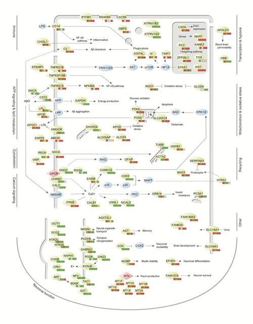 亚星游戏·yaxin222(中国官网)_亚星注册登录