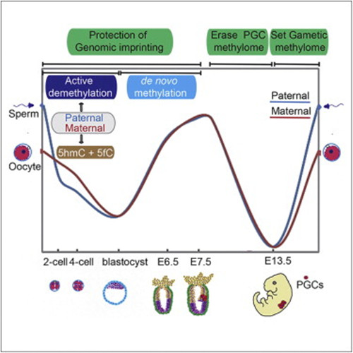 亚星游戏·yaxin222(中国官网)_亚星注册登录