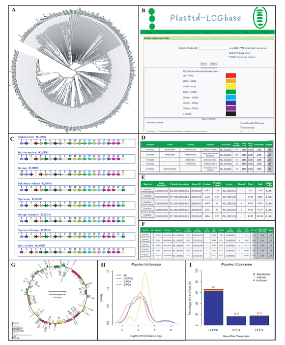 亚星游戏·yaxin222(中国官网)_亚星注册登录