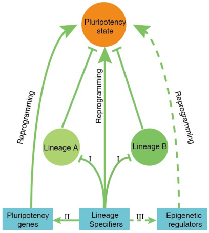 亚星游戏·yaxin222(中国官网)_亚星注册登录