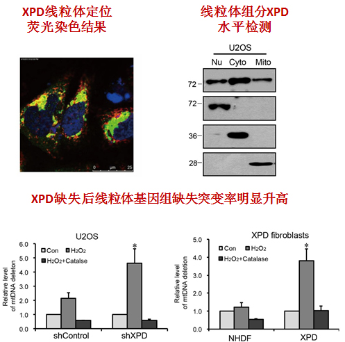 亚星游戏·yaxin222(中国官网)_亚星注册登录