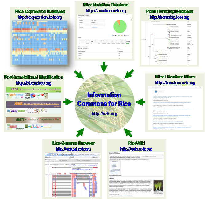 亚星游戏·yaxin222(中国官网)_亚星注册登录