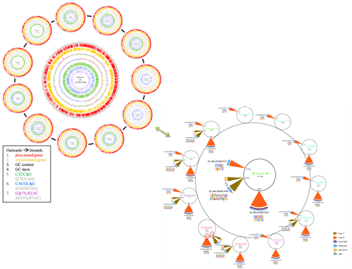 亚星游戏·yaxin222(中国官网)_亚星注册登录