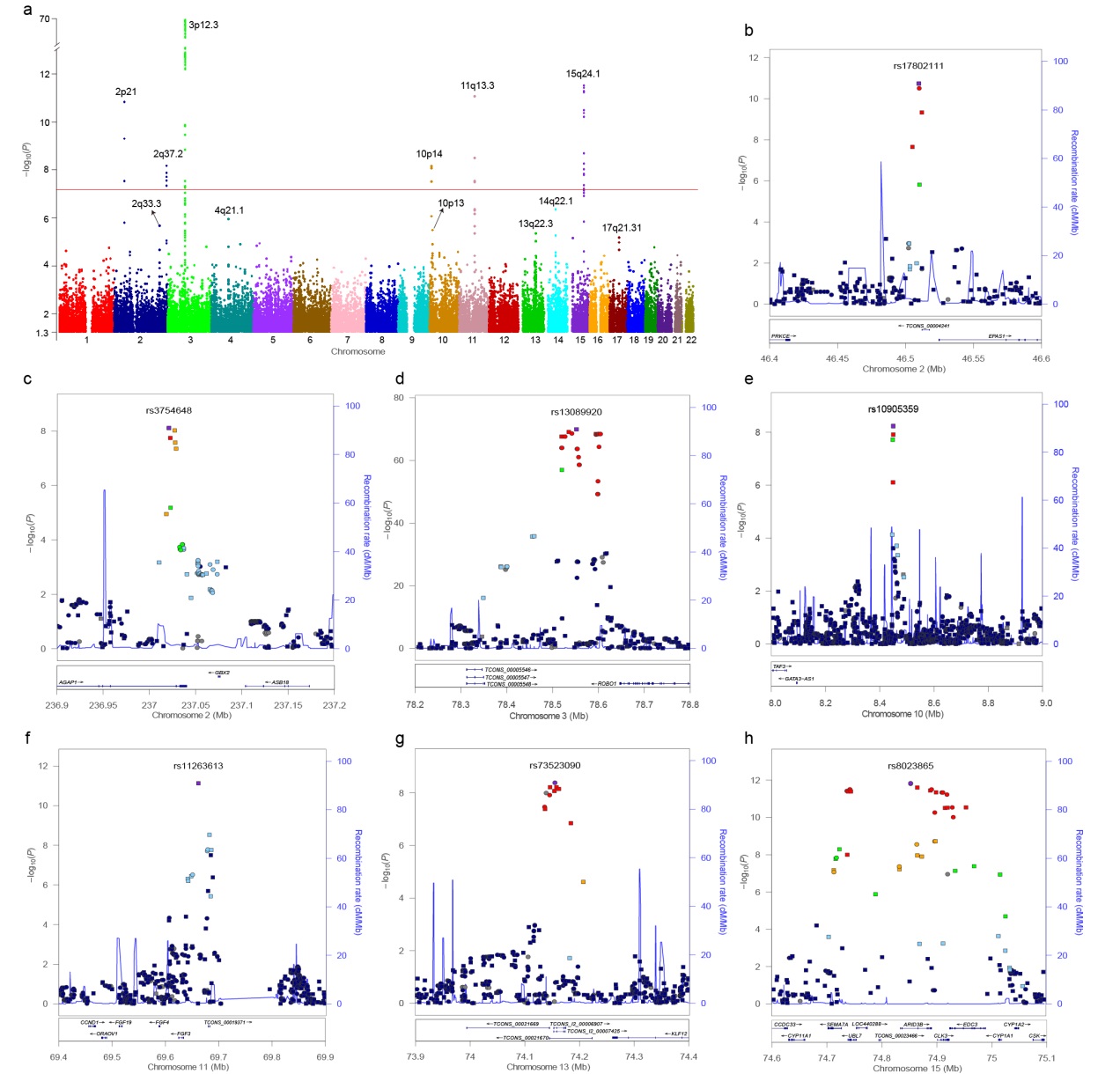 亚星游戏·yaxin222(中国官网)_亚星注册登录