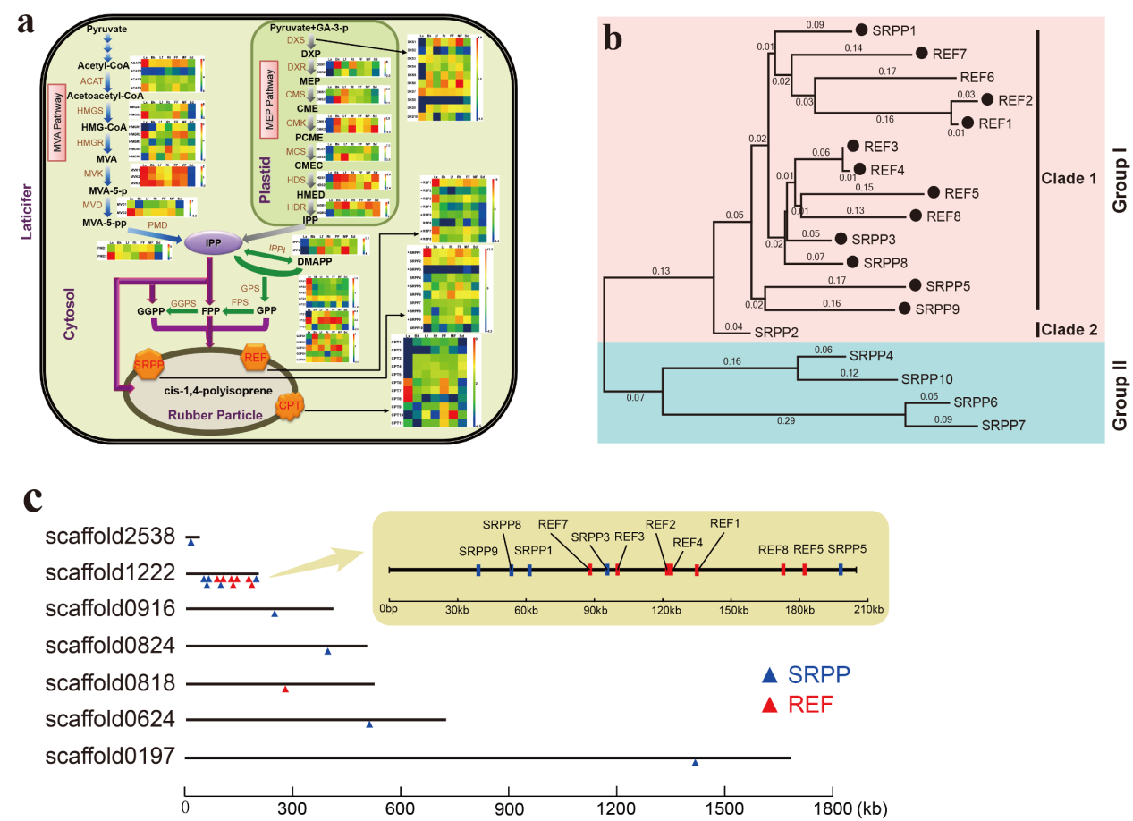 亚星游戏·yaxin222(中国官网)_亚星注册登录