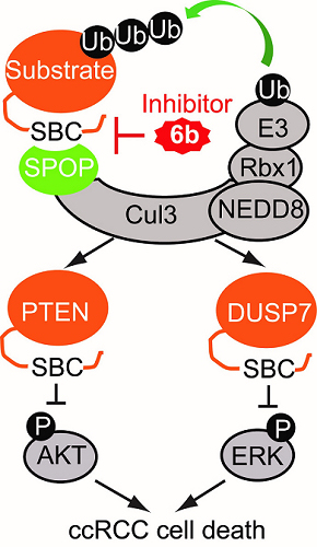 亚星游戏·yaxin222(中国官网)_亚星注册登录