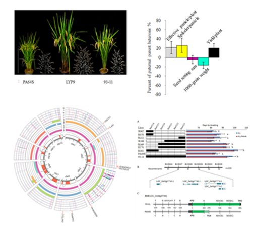 亚星游戏·yaxin222(中国官网)_亚星注册登录