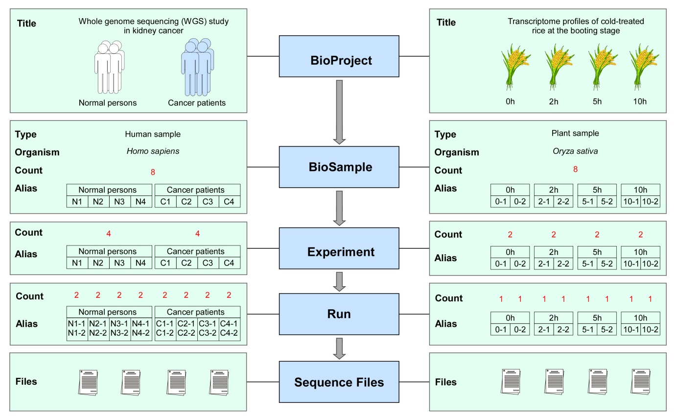 亚星游戏·yaxin222(中国官网)_亚星注册登录