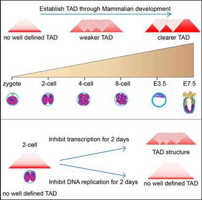 亚星游戏·yaxin222(中国官网)_亚星注册登录