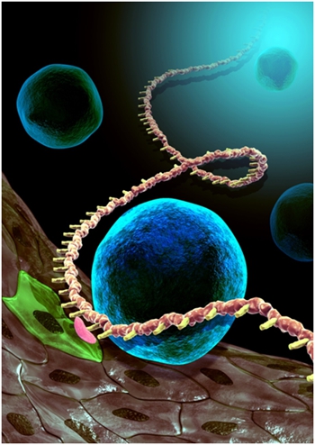 亚星游戏·yaxin222(中国官网)_亚星注册登录