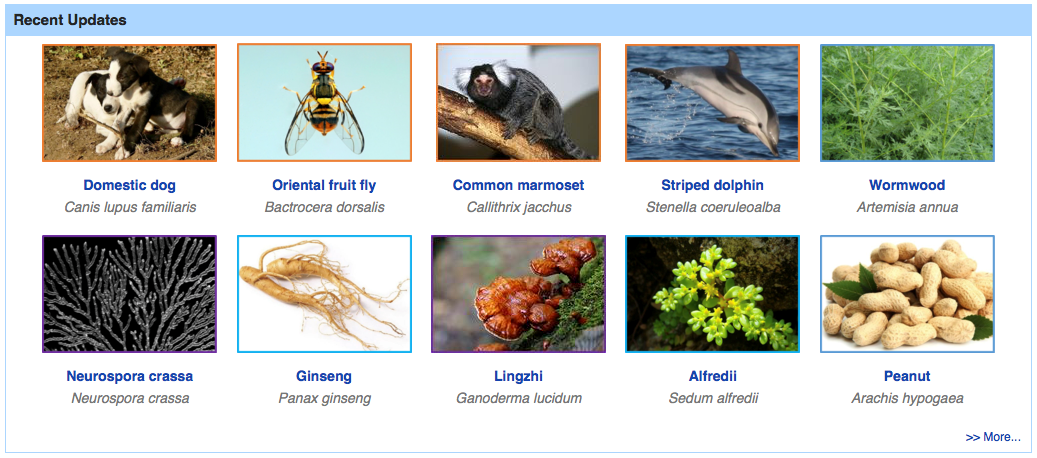 亚星游戏·yaxin222(中国官网)_亚星注册登录