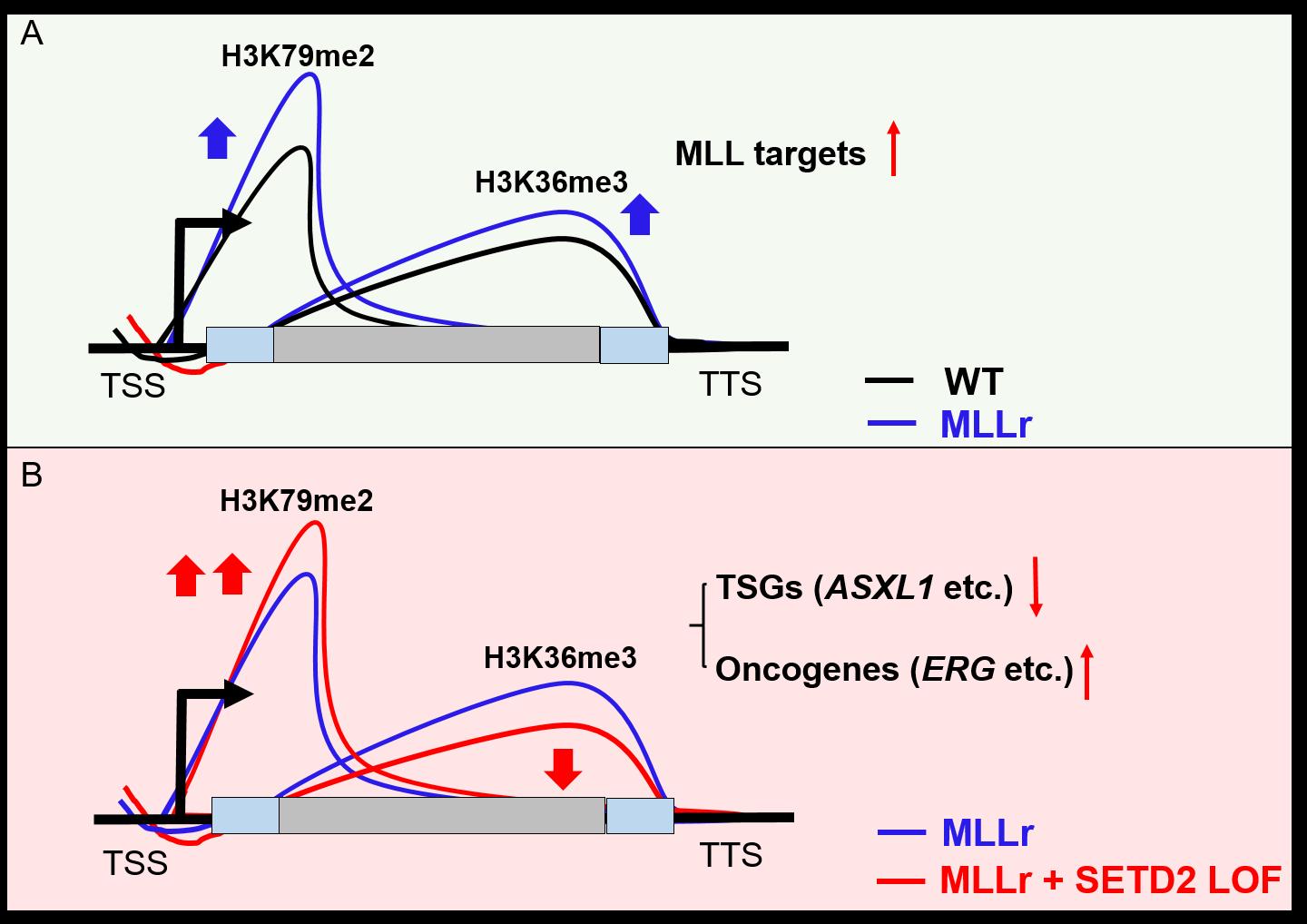 亚星游戏·yaxin222(中国官网)_亚星注册登录