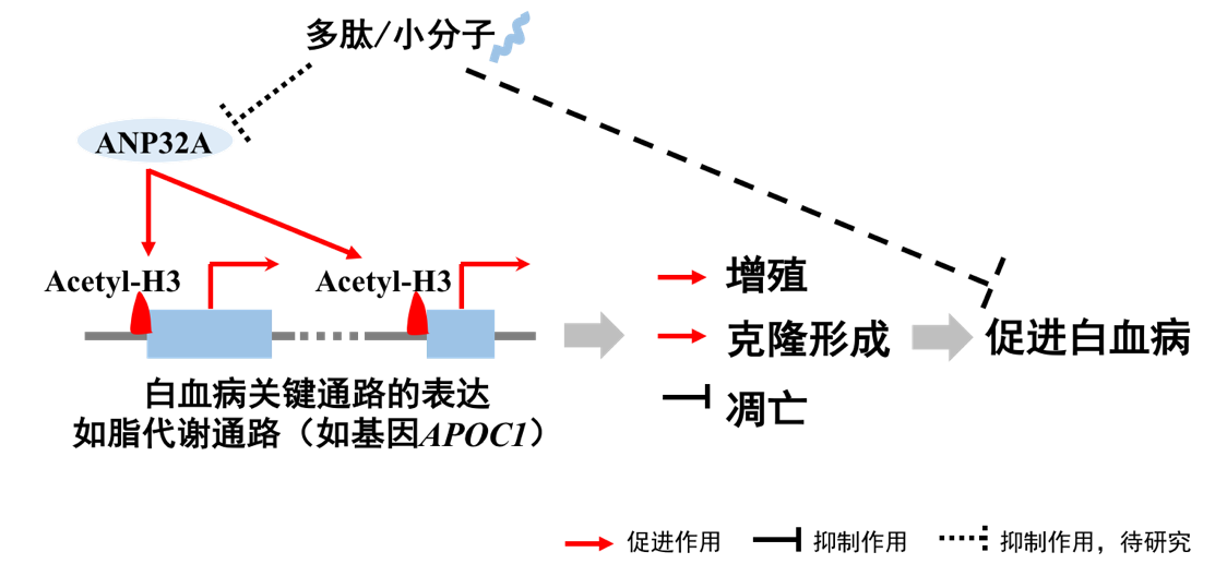 亚星游戏·yaxin222(中国官网)_亚星注册登录