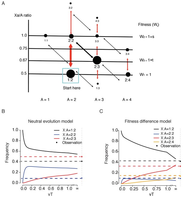 亚星游戏·yaxin222(中国官网)_亚星注册登录