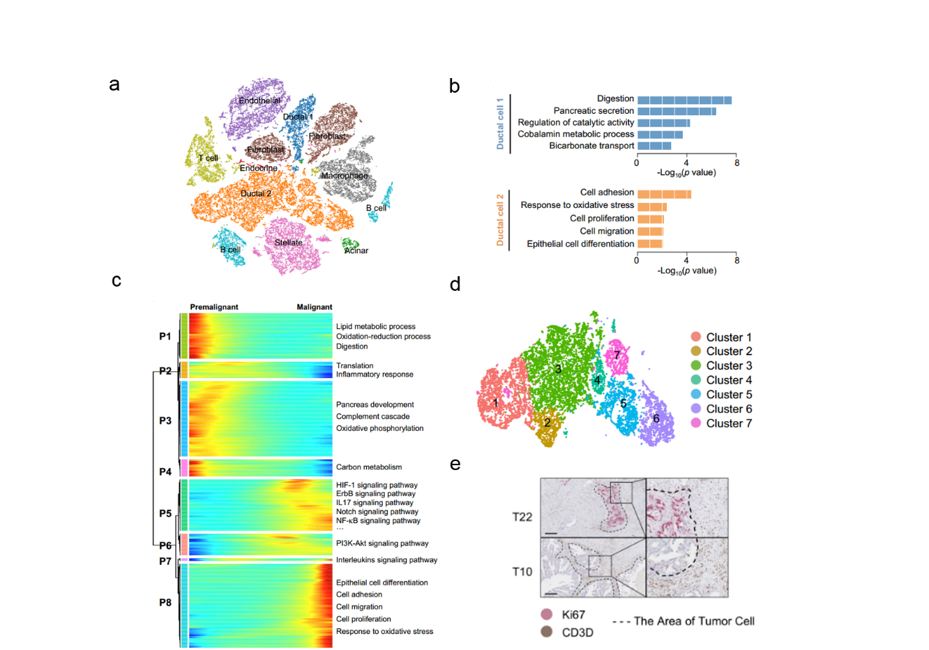 亚星游戏·yaxin222(中国官网)_亚星注册登录
