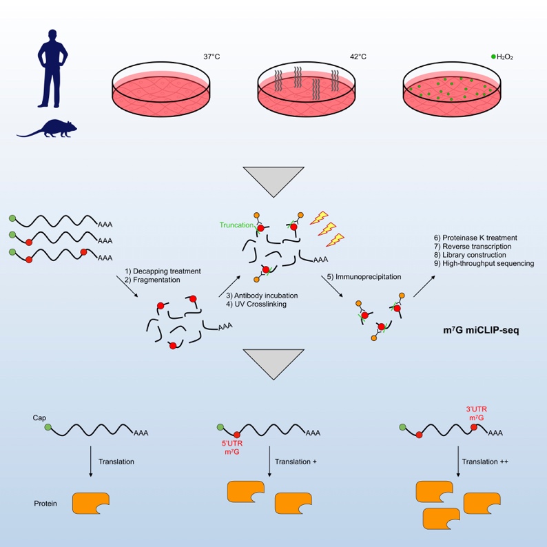 亚星游戏·yaxin222(中国官网)_亚星注册登录