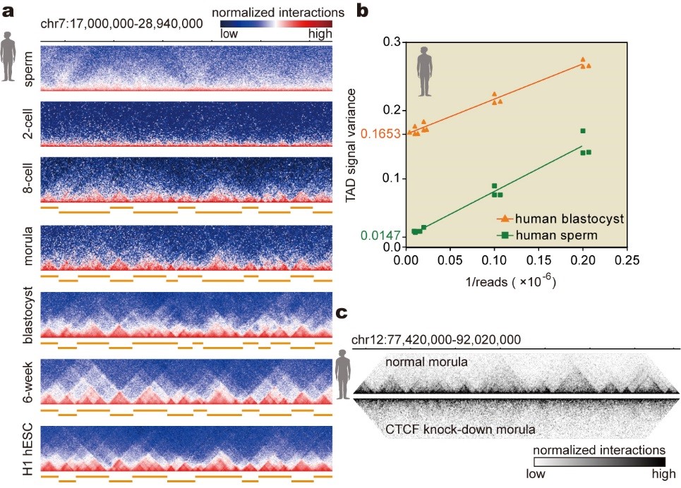 亚星游戏·yaxin222(中国官网)_亚星注册登录