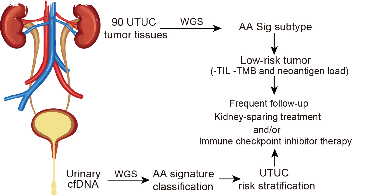 亚星游戏·yaxin222(中国官网)_亚星注册登录