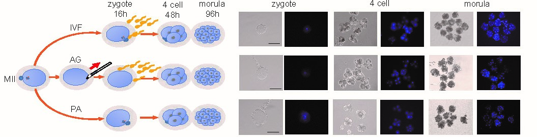 亚星游戏·yaxin222(中国官网)_亚星注册登录