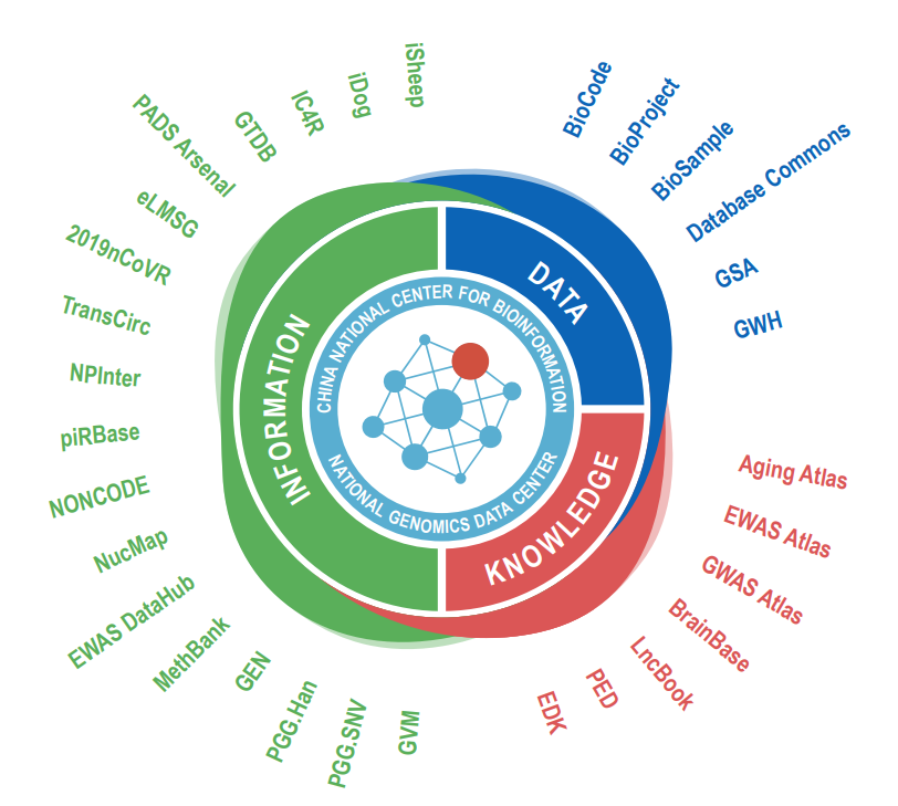 亚星游戏·yaxin222(中国官网)_亚星注册登录