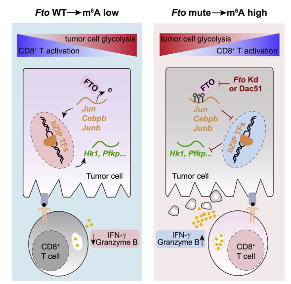 亚星游戏·yaxin222(中国官网)_亚星注册登录