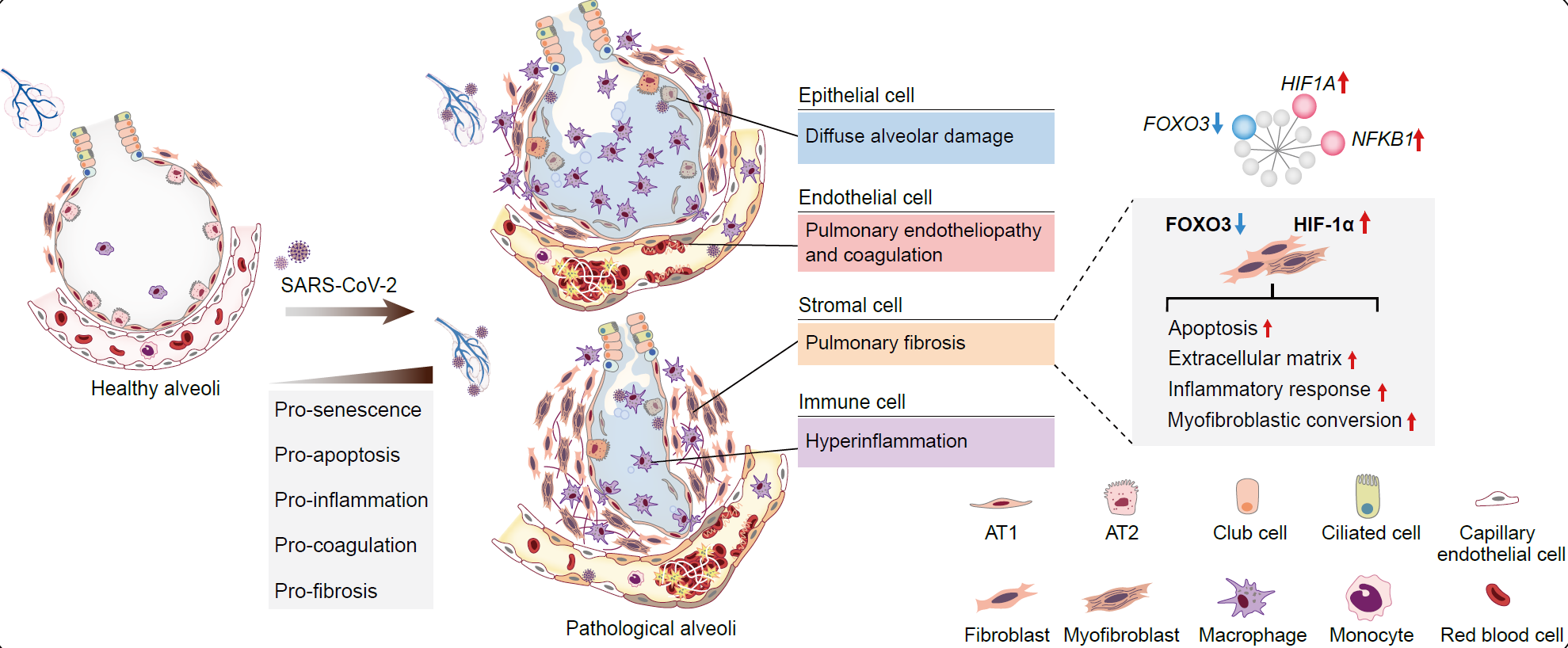 亚星游戏·yaxin222(中国官网)_亚星注册登录