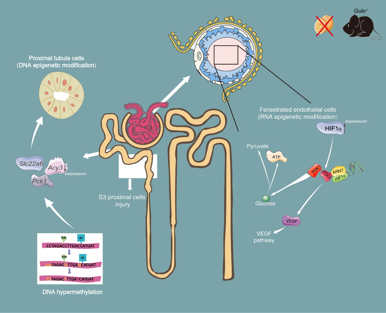 亚星游戏·yaxin222(中国官网)_亚星注册登录