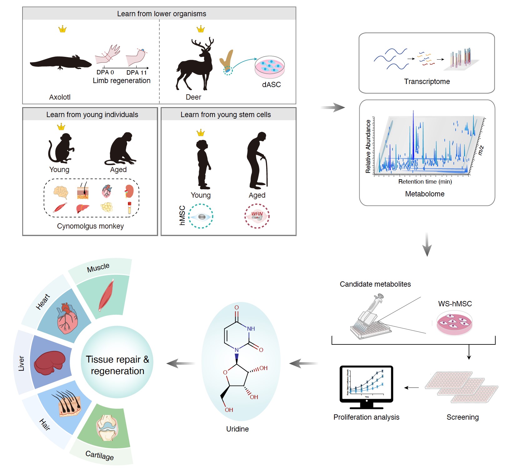 亚星游戏·yaxin222(中国官网)_亚星注册登录
