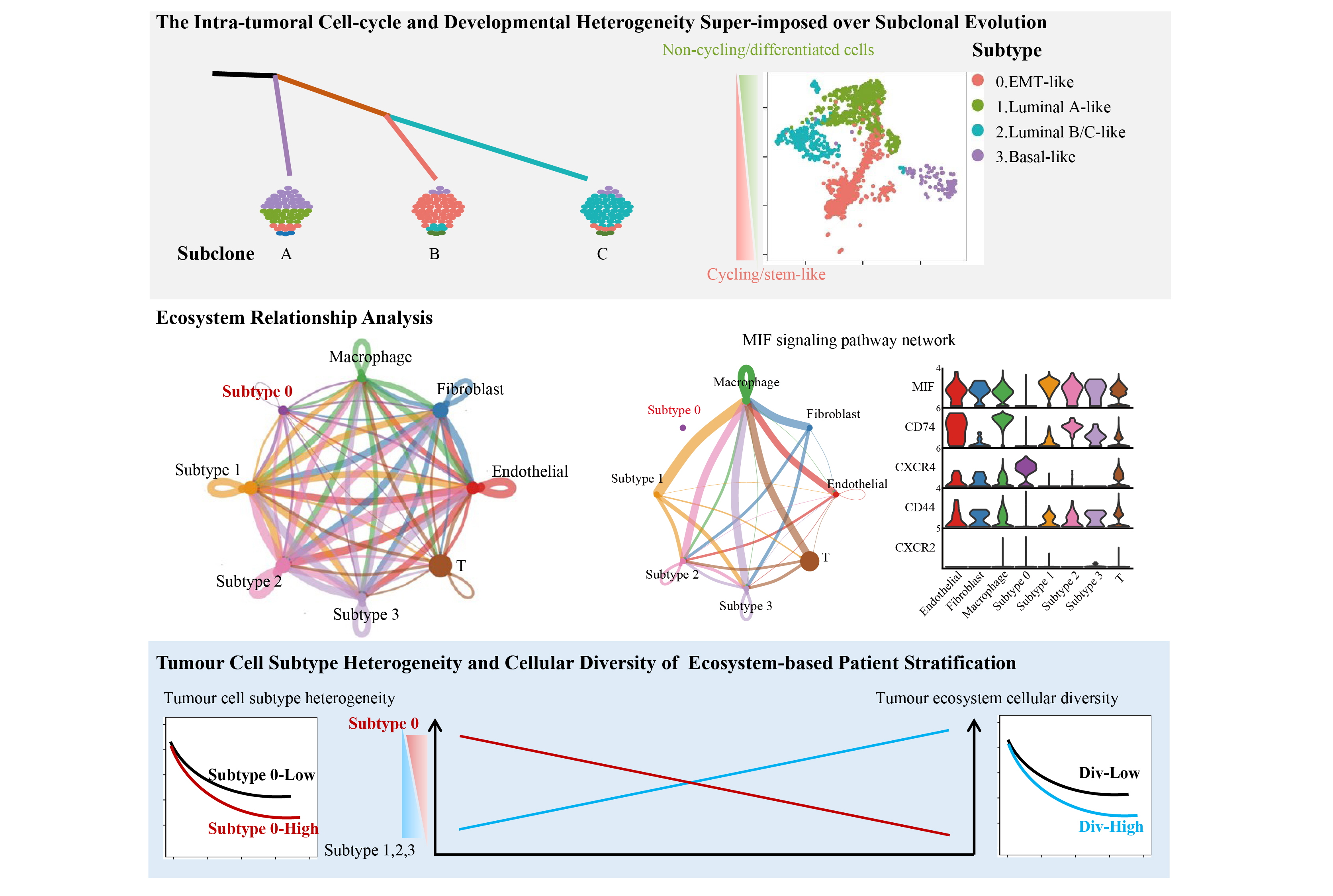 亚星游戏·yaxin222(中国官网)_亚星注册登录