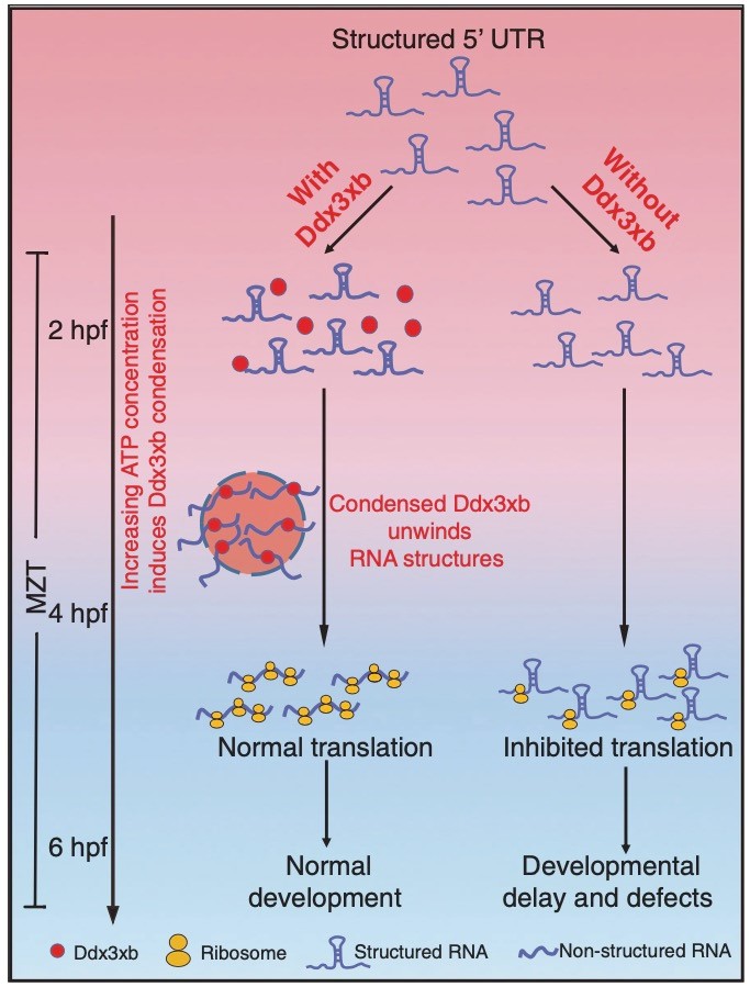 亚星游戏·yaxin222(中国官网)_亚星注册登录