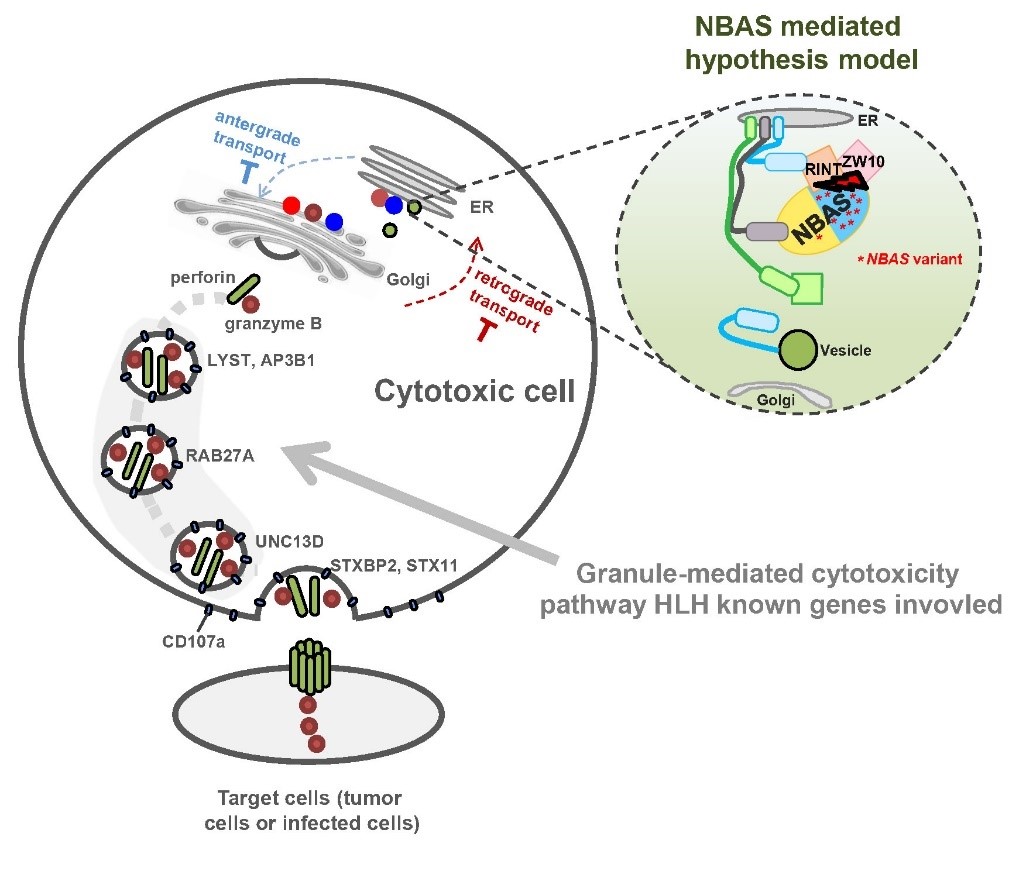 亚星游戏·yaxin222(中国官网)_亚星注册登录