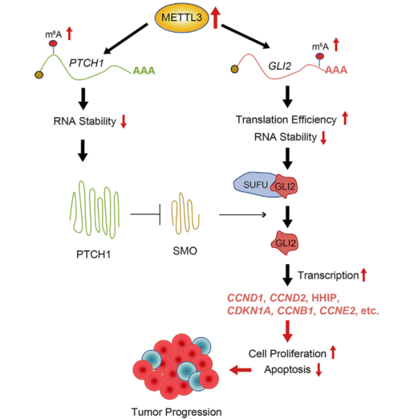 亚星游戏·yaxin222(中国官网)_亚星注册登录