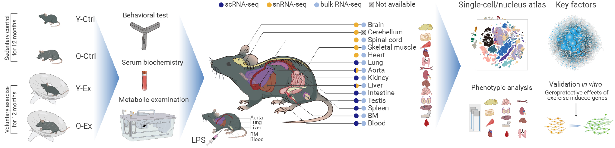 亚星游戏·yaxin222(中国官网)_亚星注册登录