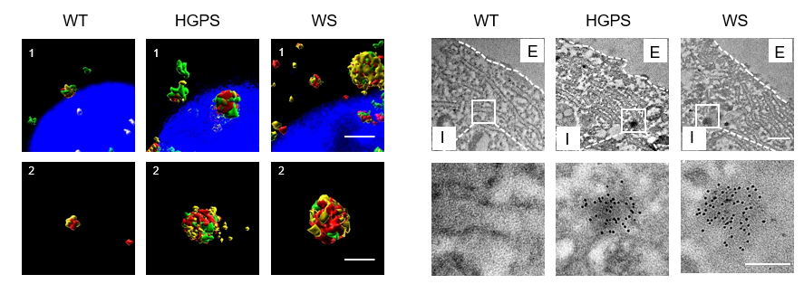 亚星游戏·yaxin222(中国官网)_亚星注册登录