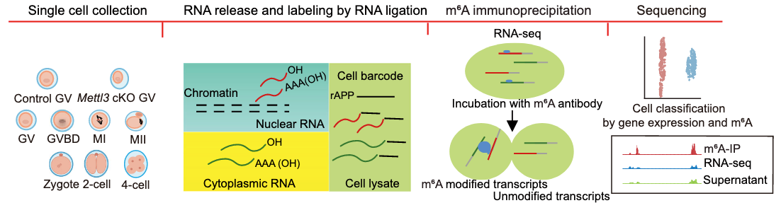 亚星游戏·yaxin222(中国官网)_亚星注册登录