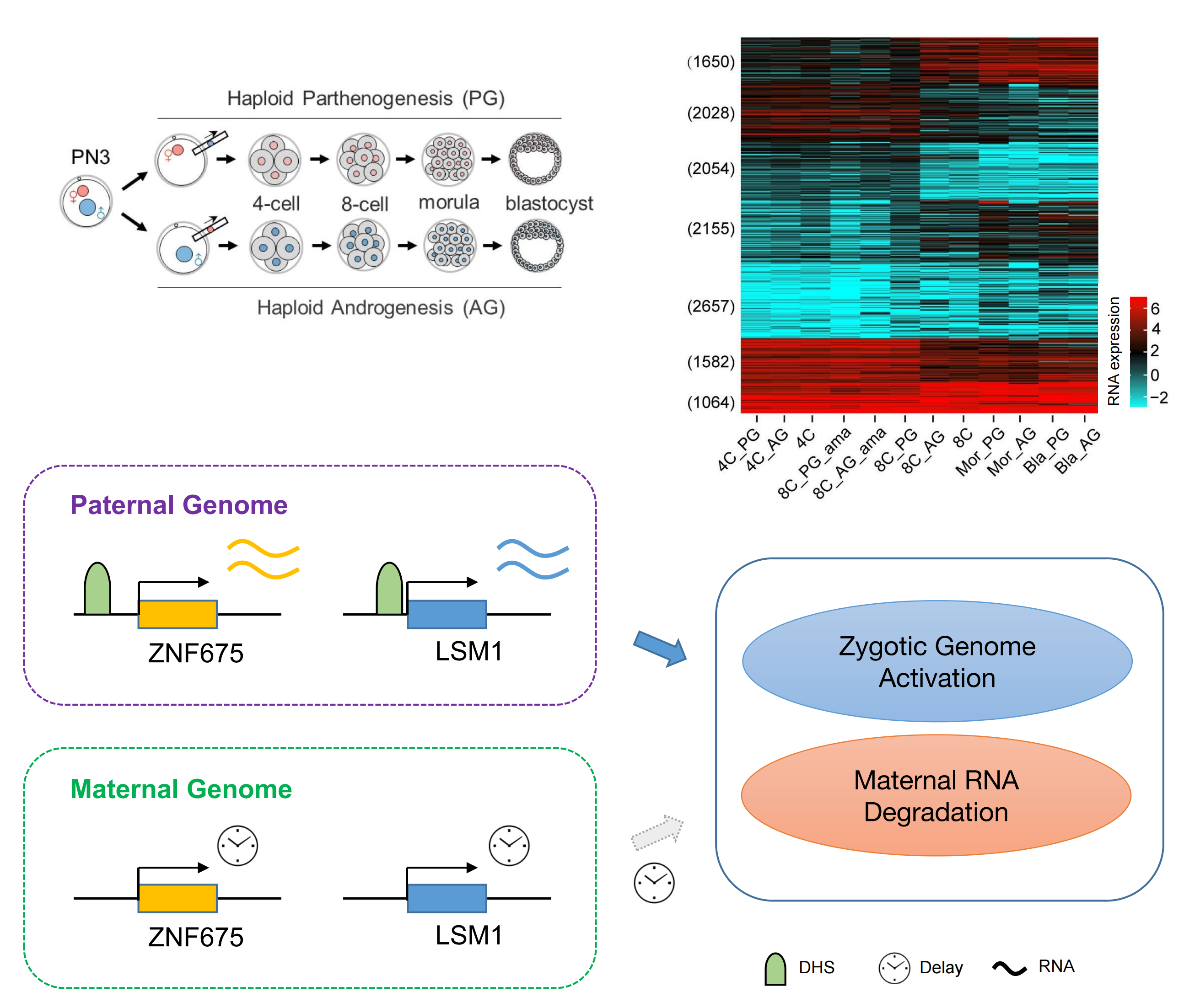 亚星游戏·yaxin222(中国官网)_亚星注册登录