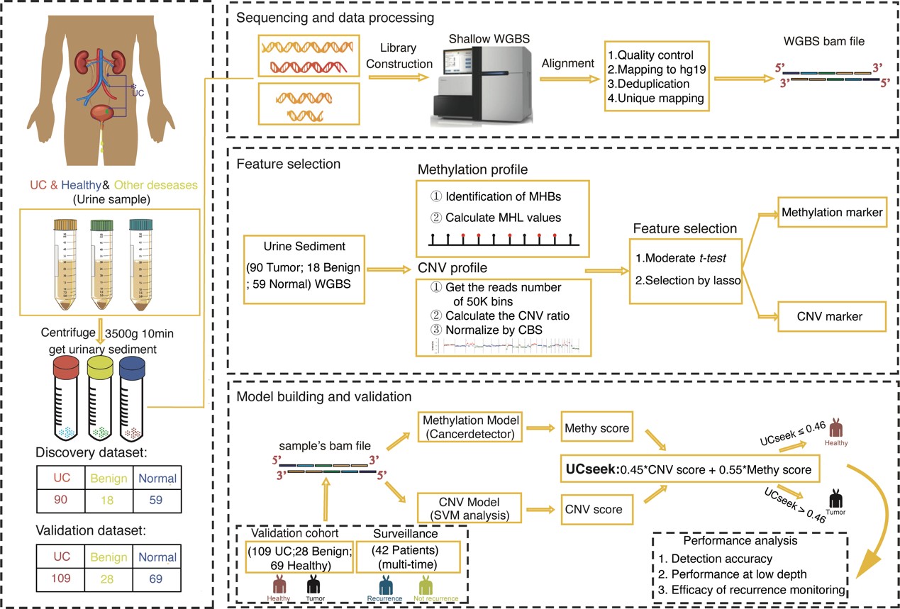 亚星游戏·yaxin222(中国官网)_亚星注册登录