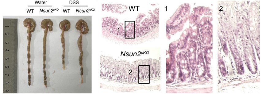 亚星游戏·yaxin222(中国官网)_亚星注册登录