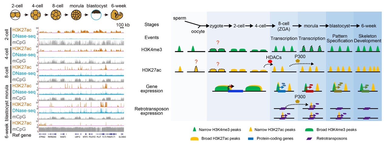 亚星游戏·yaxin222(中国官网)_亚星注册登录