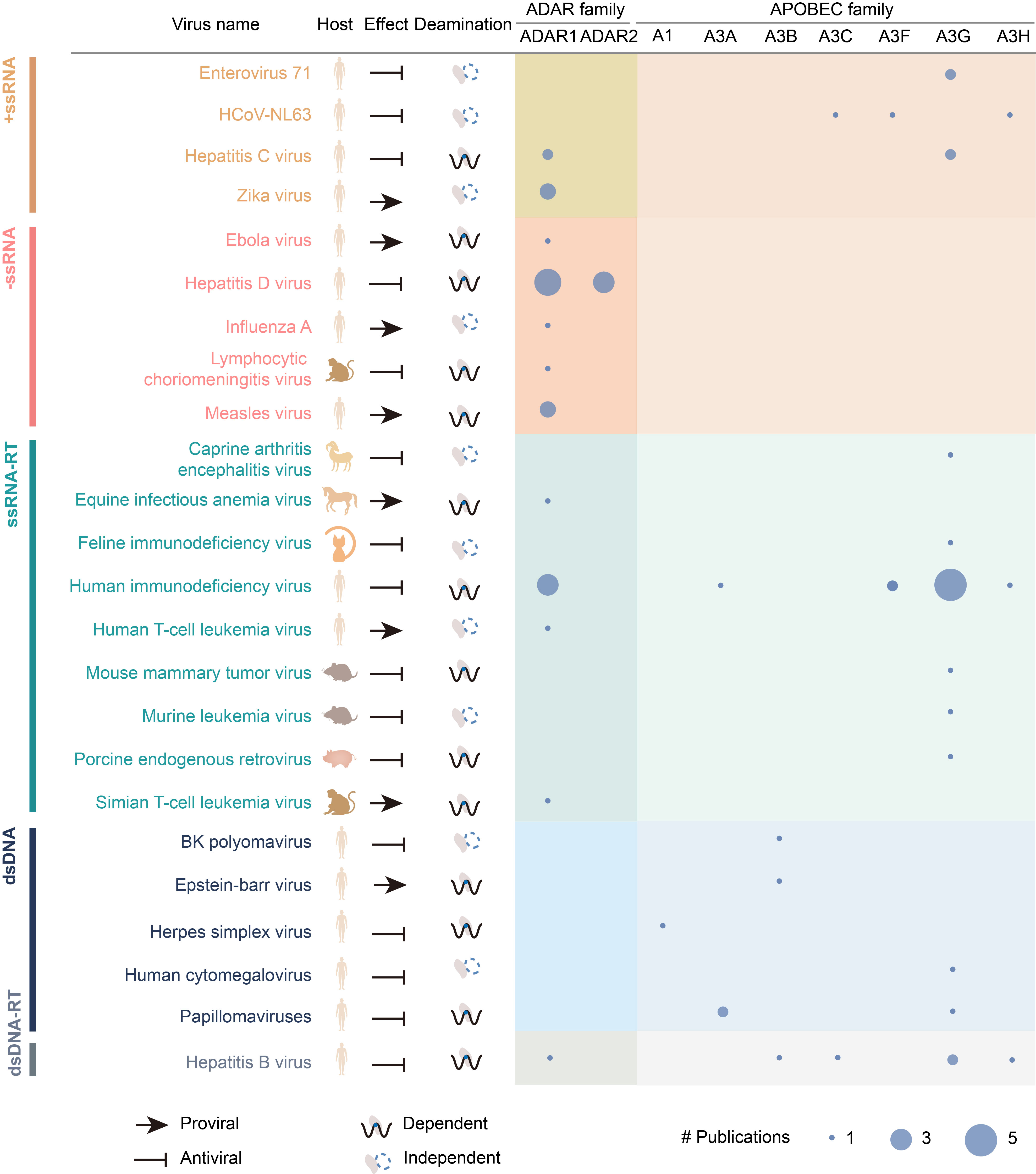 亚星游戏·yaxin222(中国官网)_亚星注册登录
