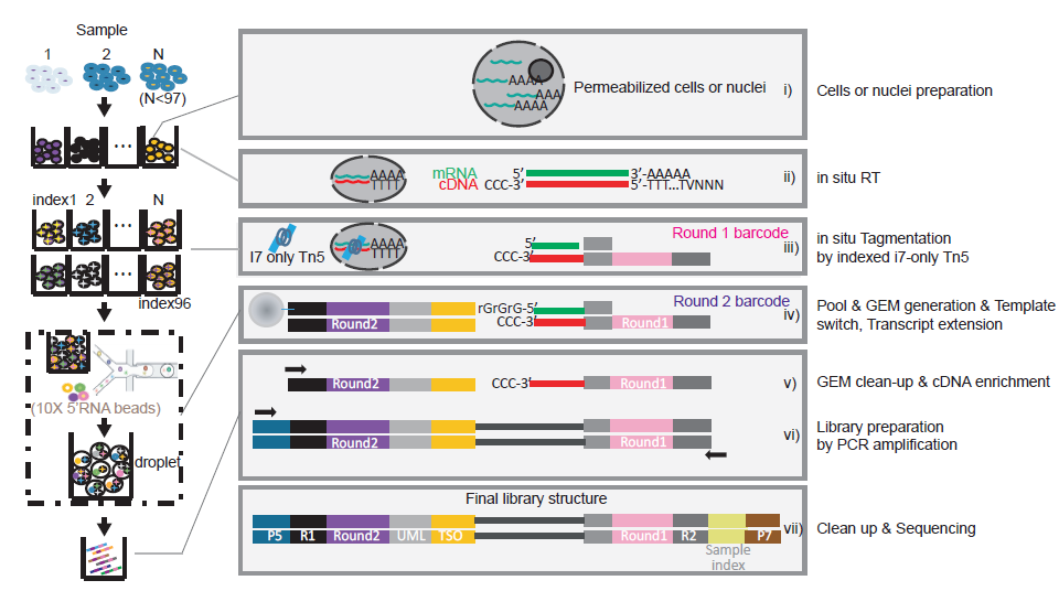 亚星游戏·yaxin222(中国官网)_亚星注册登录