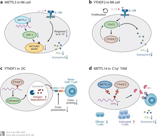 亚星游戏·yaxin222(中国官网)_亚星注册登录